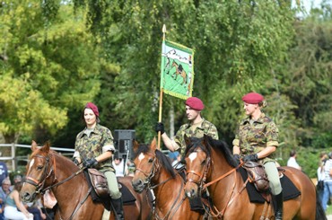 Home Schweizerische Traingesellschaft